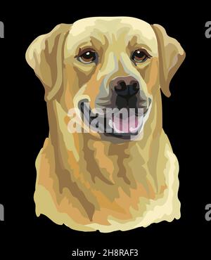 Realistic head of labrador retriever dog. Color vector illustration isolated on black background. For decoration, embroidery, design, print, posters, Stock Vector