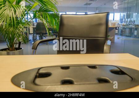 looking over a black plastic office desk cable tidy in a light oak coloured desk toward a black and chrome office chair, green leaved plant and office Stock Photo