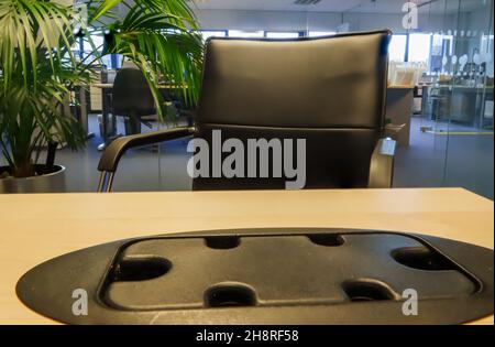 looking over a black plastic office desk cable tidy in a light oak coloured desk toward a black and chrome office chair, green leaved plant and office Stock Photo