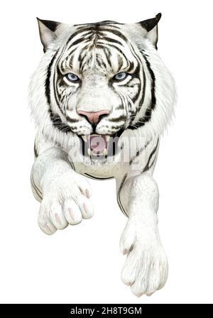 Digitally rendered big wild cat, red tiger, 3D Illustration Stock Photo -  Alamy