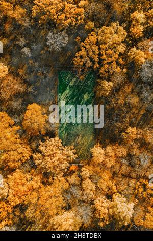 Aerial view of a soccer field with players on the green turf, white ...