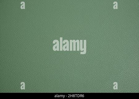 Solid green background with skin texture Stock Photo