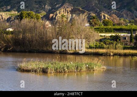 The Ojos reservoir, also called Azud de Ojos in Blanco, Region of Murcia. Spain. River Segura. Ricote Valley. Seen from the viewing platform of Alto d Stock Photo