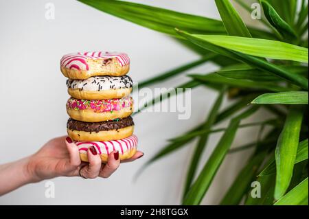 Female holds in hand colorful stack of glazed donuts. White background. Top view. Copy space Stock Photo