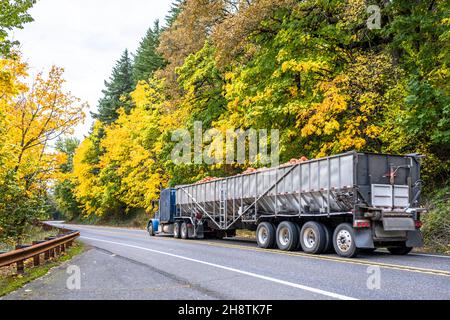 Industrial big rig blue semi truck tractor transporting pumpkin harvest in long bulk semi trailer driving on the divided winding highway road with aut Stock Photo