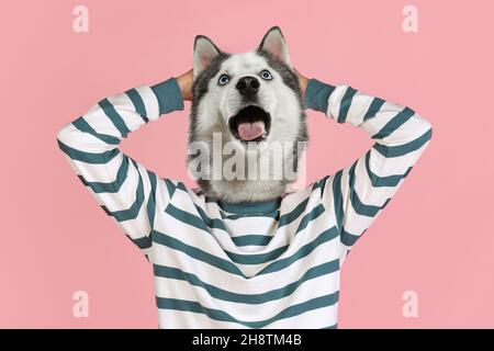 Contemporary artwork, conceptual collage. Young stylish man in striped sweater headed by dog head isolated on purple background in neon. Surrealism Stock Photo