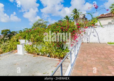 Flowers in the historic center of Joao Pessoa, Brazil Stock Photo