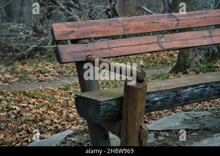 Bench cut from logs sitting among trees in a park Stock Photo