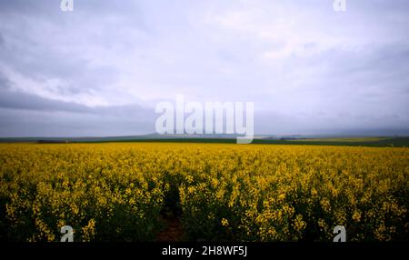 South Africa - South African farm land at sunset Stock Photo - Alamy