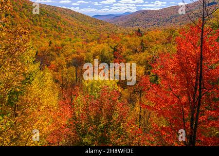 Autumn foliage in the deciduous forest on New England hillsides, Bear Notch Road, Bartlett, New Hampshire, USA Stock Photo