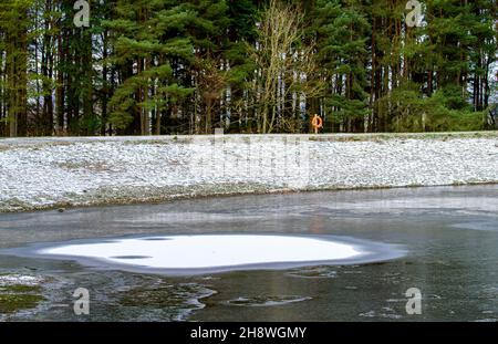 Dundee, Tayside, Scotland, UK. 2nd Dec, 2021. UK Weather. North East Scotland's weather in December is bitterly cold with temperatures as low as 3°C. Clatto Country Park in rural Dundee offers a lively winter vibe because to the ice that has developed on the park pond. Credit: Dundee Photographics/Alamy Live News