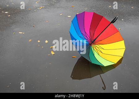 A multi-colored umbrella in a puddle. Stock Photo