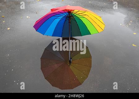 A multi-colored umbrella in a puddle. Stock Photo