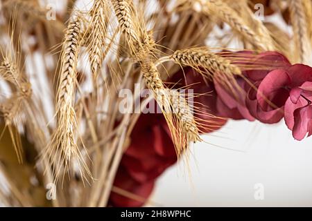 vaso di vetro con spighe di grano e fiori secchi particolare Stock