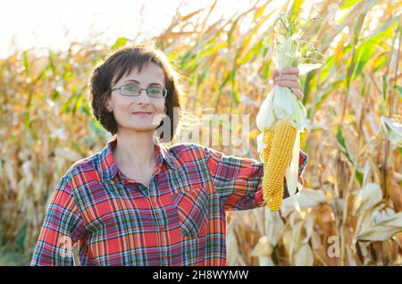 Middle age brunette caucasian female farm worker in glasses shows just picked unwrapped sweet corn cobs Stock Photo