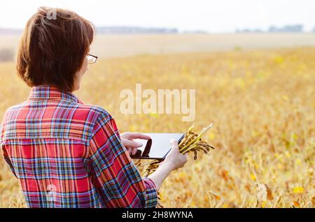 Middle age brunette caucasian female farm worker in glasses with digital tablet inspecting soy field summer day Stock Photo