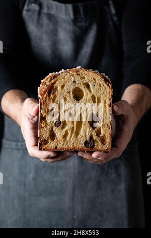 Crop unrecognizable cook in apron holding half of tasty raisin panettone in selective focus Stock Photo