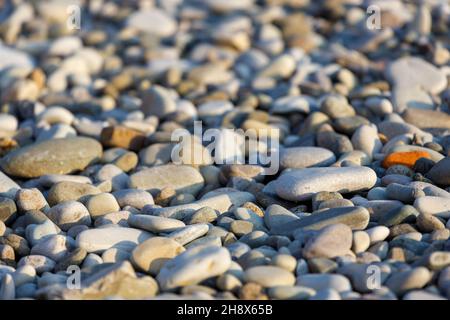 stones lying on the pebble sea beach. High quality photo Stock Photo