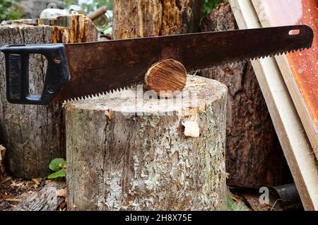 Saw for cutting wood. Preparation of firewood for the winter Stock Photo