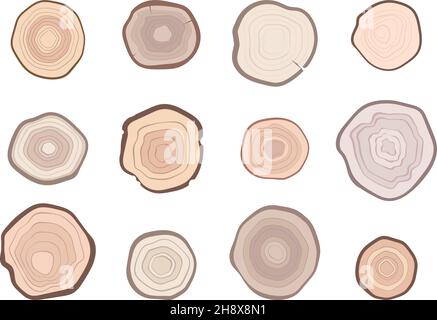 Wooden rings. Sawmill lumbers round forms growth tree textures lines organic surface garish vector illustrations collection Stock Vector