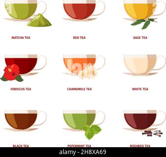 Type of tea. Beverage drinking natural products with green leaves lemon rooibos liquids in glass cups black tea garish vector flat illustrations set Stock Vector
