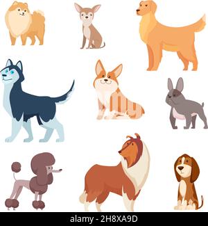Dogs breeds. Funny true and faithful animals playing in various poses cartoon puffy puppy poodle bulldog dachshund exact vector illustrations Stock Vector