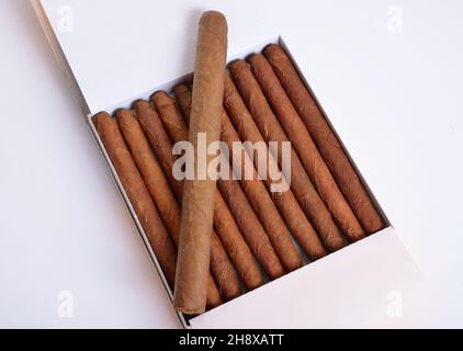 Cigars in the case. Isolated on white background. Stock Photo
