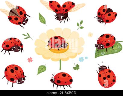 Red ladybugs. View nature bugs flying summer insects macro closing nowaday pictures collection isolated Stock Vector
