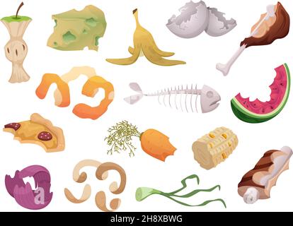 Waste foods. Recycling organic trash fruits meat vegetables fish bones waste exact vector illustrations isolated Stock Vector