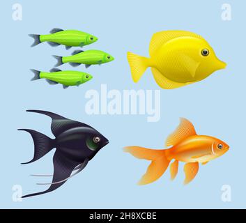 Exotic fishes. Realistic underwater life aquarium drawing colored fishes decent vector illustration collection isolated Stock Vector