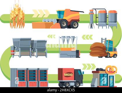 Bread production process vector illustration. Cartoon info education ...