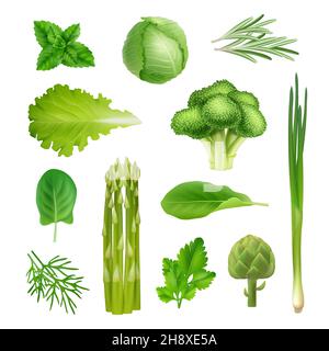 Green vegetables. Mint onion salad leaf parsley cabbage and broccoli decent vector organic fresh products realistic illustrations set Stock Vector