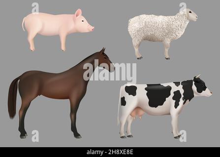 Farm animals. Domestic cow with milk pig horse sheep decent vector realistic animals collection Stock Vector
