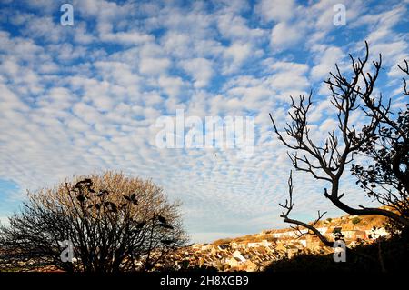 Portland. 2nd December 2021. UK Weather. A striking 'mackerel sky' over the Isle of Portland suggesting changeable weather. ' Mackerel sky, mackerel sky . never long wet, never long dry ' as the old rhyme reminds us. Credit: stuart fretwell/Alamy Live News Stock Photo