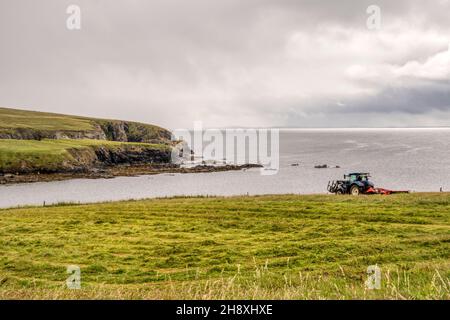 Farming on Fetlar, Shetland Islands.  A tractor working in a field by the coast. Stock Photo
