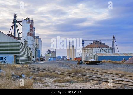 Railroad and grain elevators at the city Muleshoe, Bailey County, Texas, United States / USA Stock Photo
