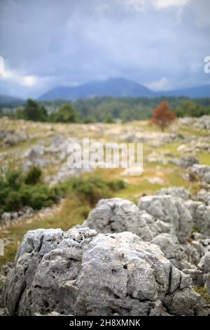 Plateau de Caussols, Parc regional des Prealpes d'Azur, Alpes Maritimes, PACA Stock Photo