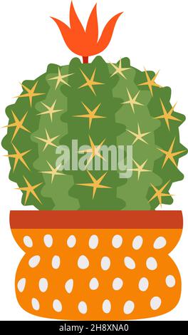 Barrel cactus blooming. Succulent with red flower in cute pot isolated on white background Stock Vector