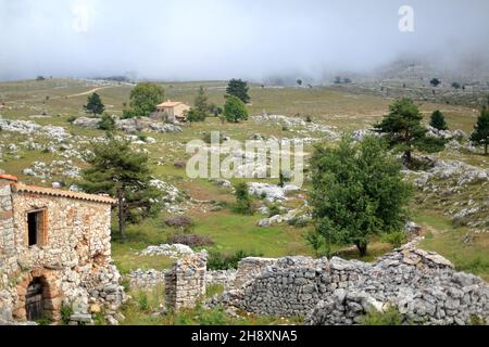 Plateau de Caussols, Parc regional des Prealpes d'Azur, Alpes Maritimes, PACA Stock Photo