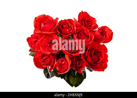 Top down view of a dozen red roses isolated on white background. Stock Photo