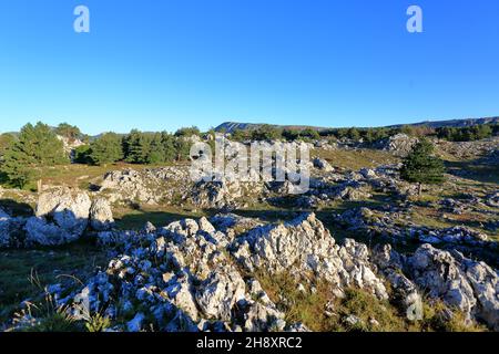 Plateau de Caussols, Parc regional des Prealpes d'Azur, Alpes Maritimes, PACA Stock Photo