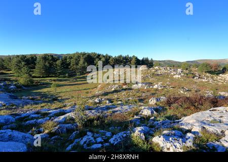 Plateau de Caussols, Parc regional des Prealpes d'Azur, Alpes Maritimes, PACA Stock Photo