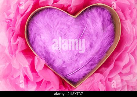 Lilac feathers in open heart shaped gift box on pink paper flower background Stock Photo