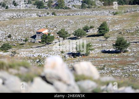 Plateau de Caussols, Parc regional des Prealpes d'Azur, Alpes Maritimes, PACA Stock Photo