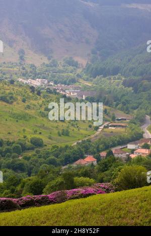 view over Rhondda Valley to Blaenhonddan/Blaencwn, Neath Port Talbot, South Wales Stock Photo