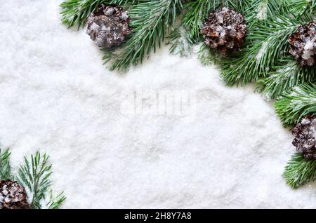 Snow background with snowy fir branches and pine cones. Stock Photo