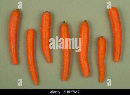Top view of fresh carrots on green background. Flat lay. Stock Photo