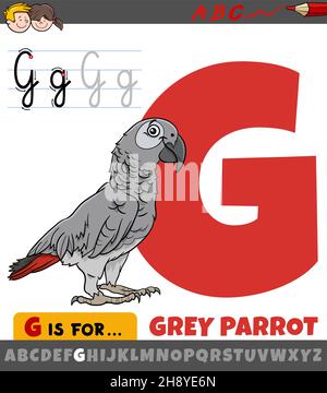 Educational cartoon illustration of letter G from alphabet with grey parrot bird animal character