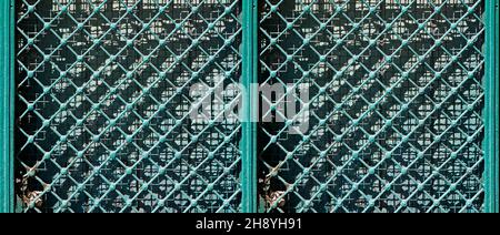 Green grid texture background Stock Photo