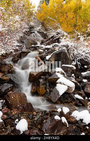 Lundy Canyon waterfall surrounded by fresh snow and autumn colors Stock Photo